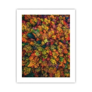 Poster - Bouquet of Autumn Flowers - 40x50 cm