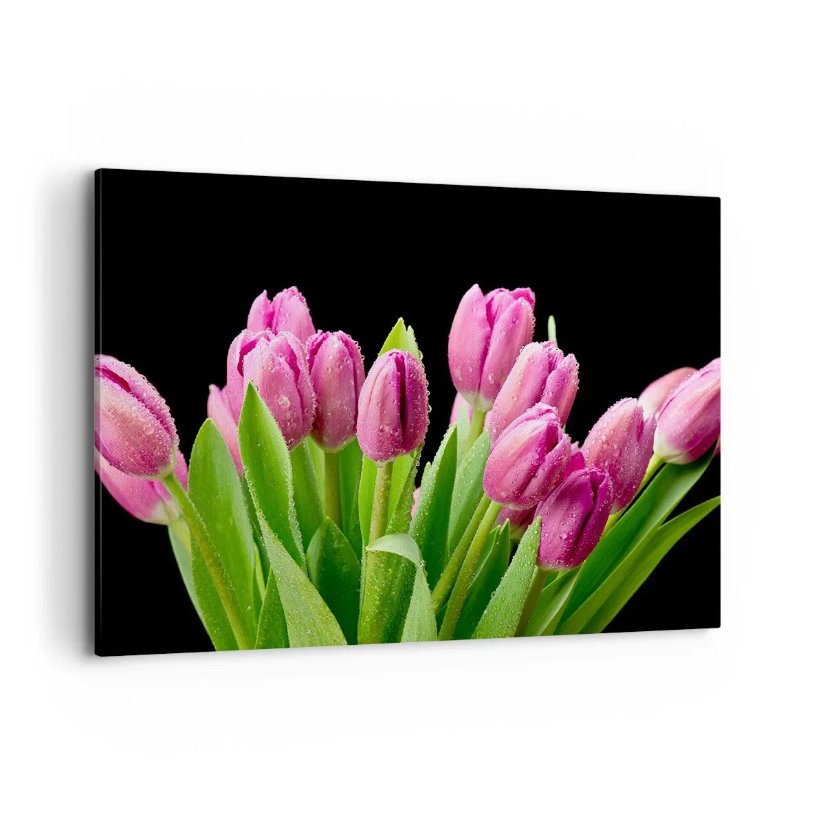 Canvas picture - Lilac Joy of Spring - 100x70 cm