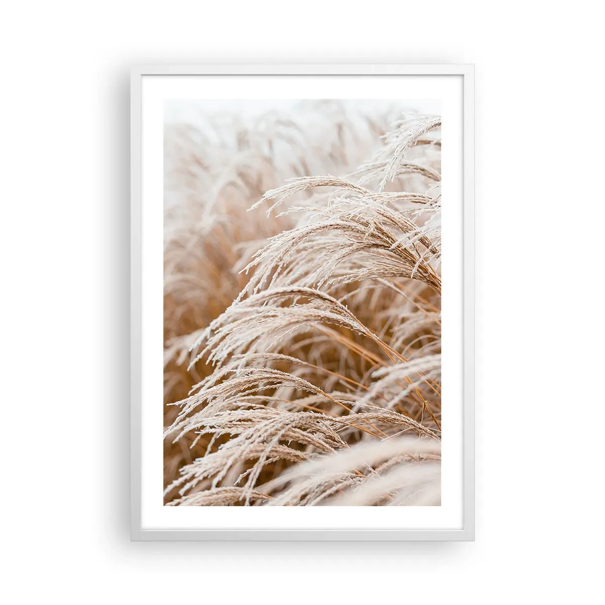 Poster in white frmae - Bow to the Autumn Sun - 50x70 cm