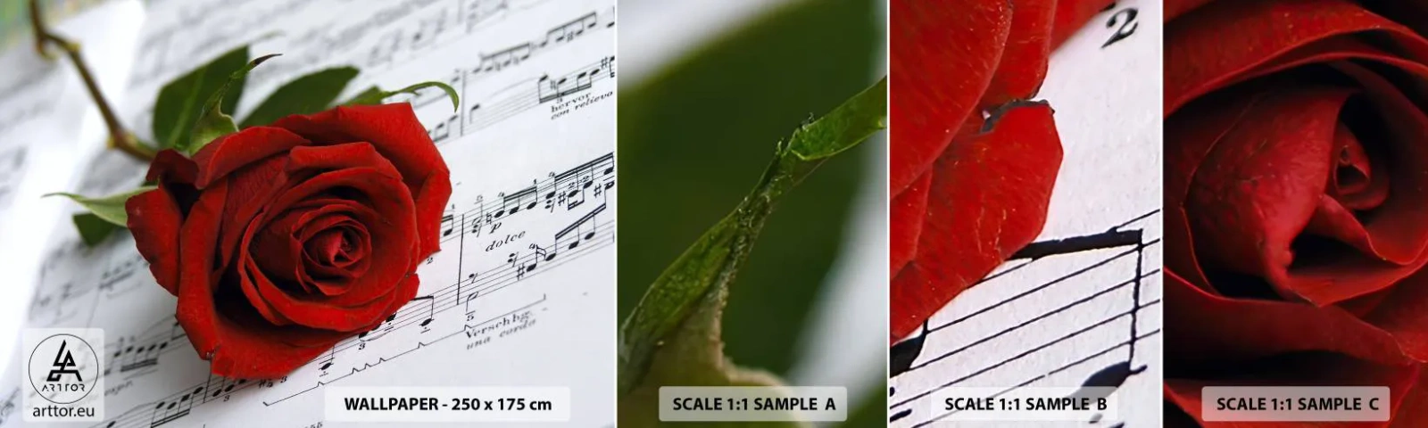 Photo Wallpaper Sample Self-Adhesive Deluxe Sticker - Music of Feelings in Scarlet - Flowers, Rose, Music - 100x30 cm