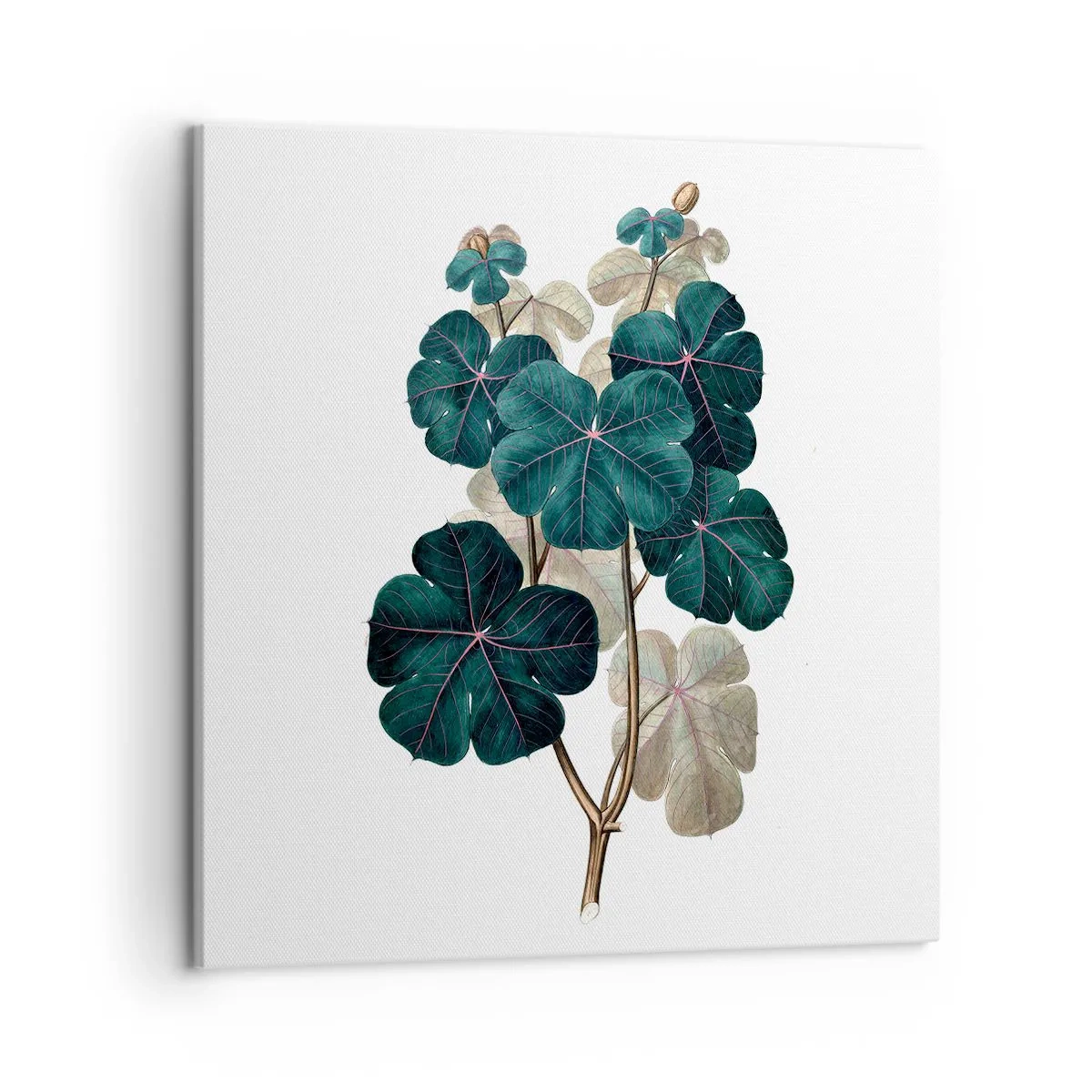 Canvas picture - From the Old Herbarium - 50x50 cm