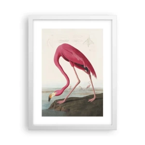 Poster in white frmae - Curious Creature - 30x40 cm