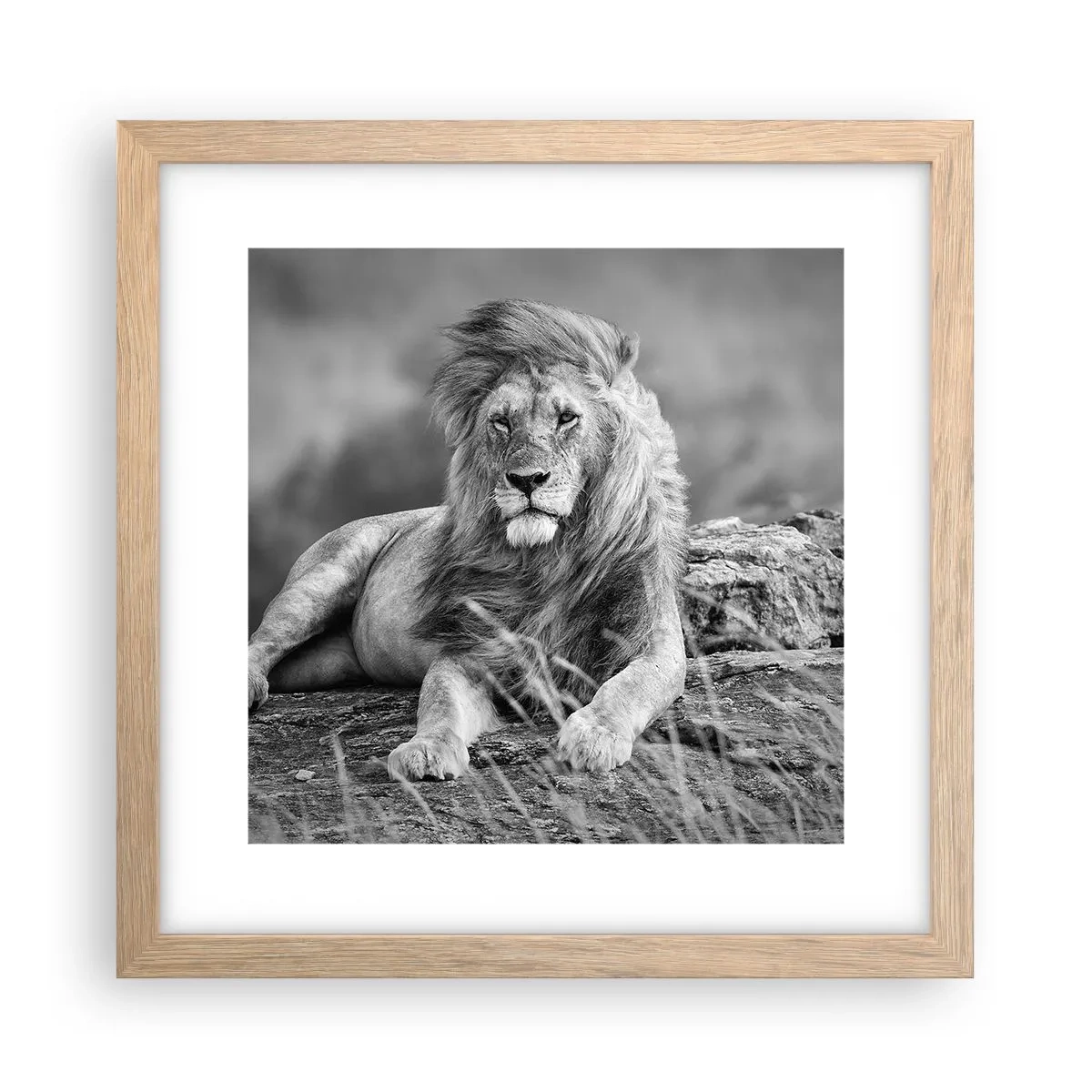 Poster in light oak frame - Royal Siesta - 30x30 cm