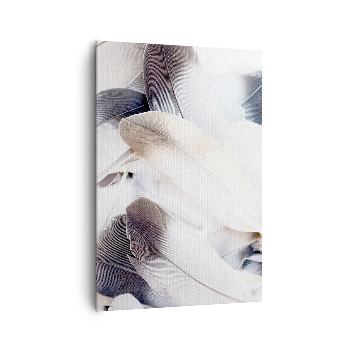 Canvas picture - Almost Angelic - 70x100 cm