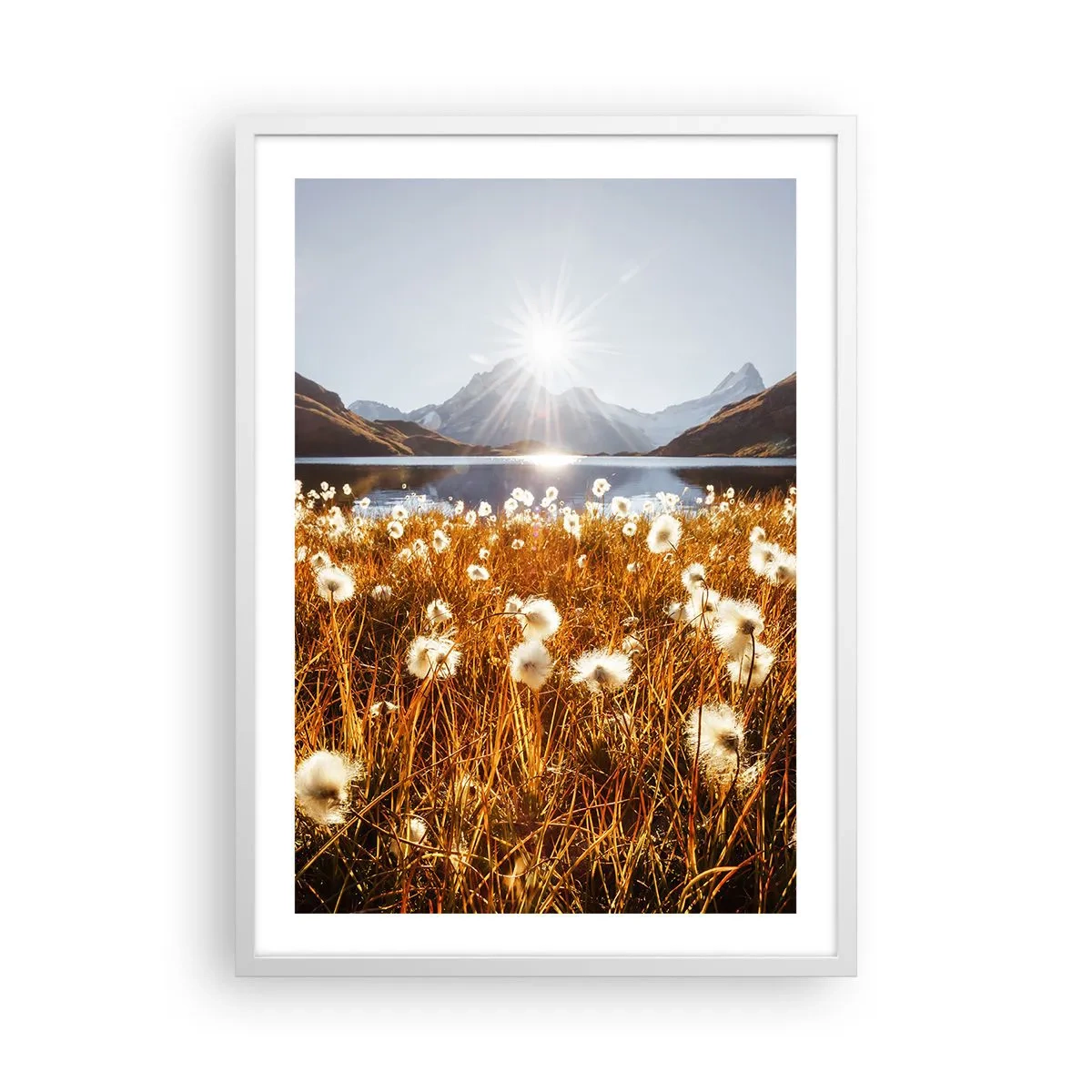 Poster in white frmae - Toughness of Rocks, Softness of Grass - 50x70 cm