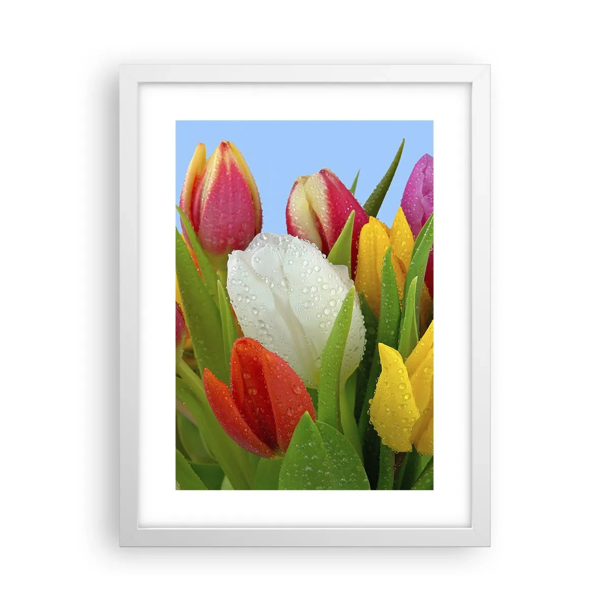 Poster in white frmae - Floral Rainbow in Dew Drops - 30x40 cm