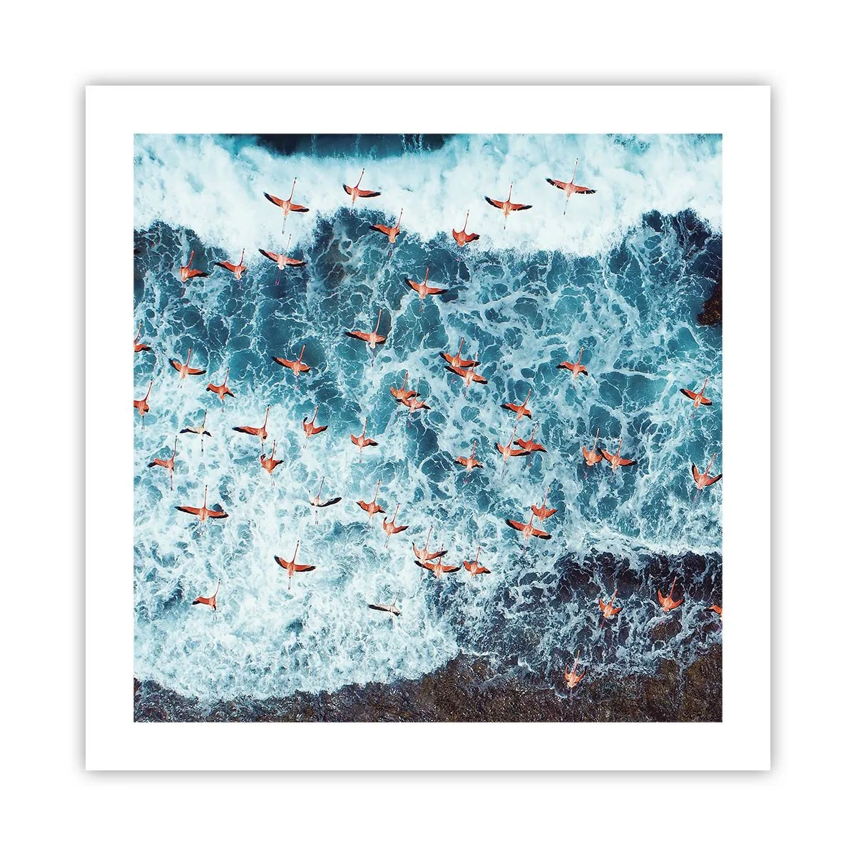 Poster - Seaside Parade - 50x50 cm