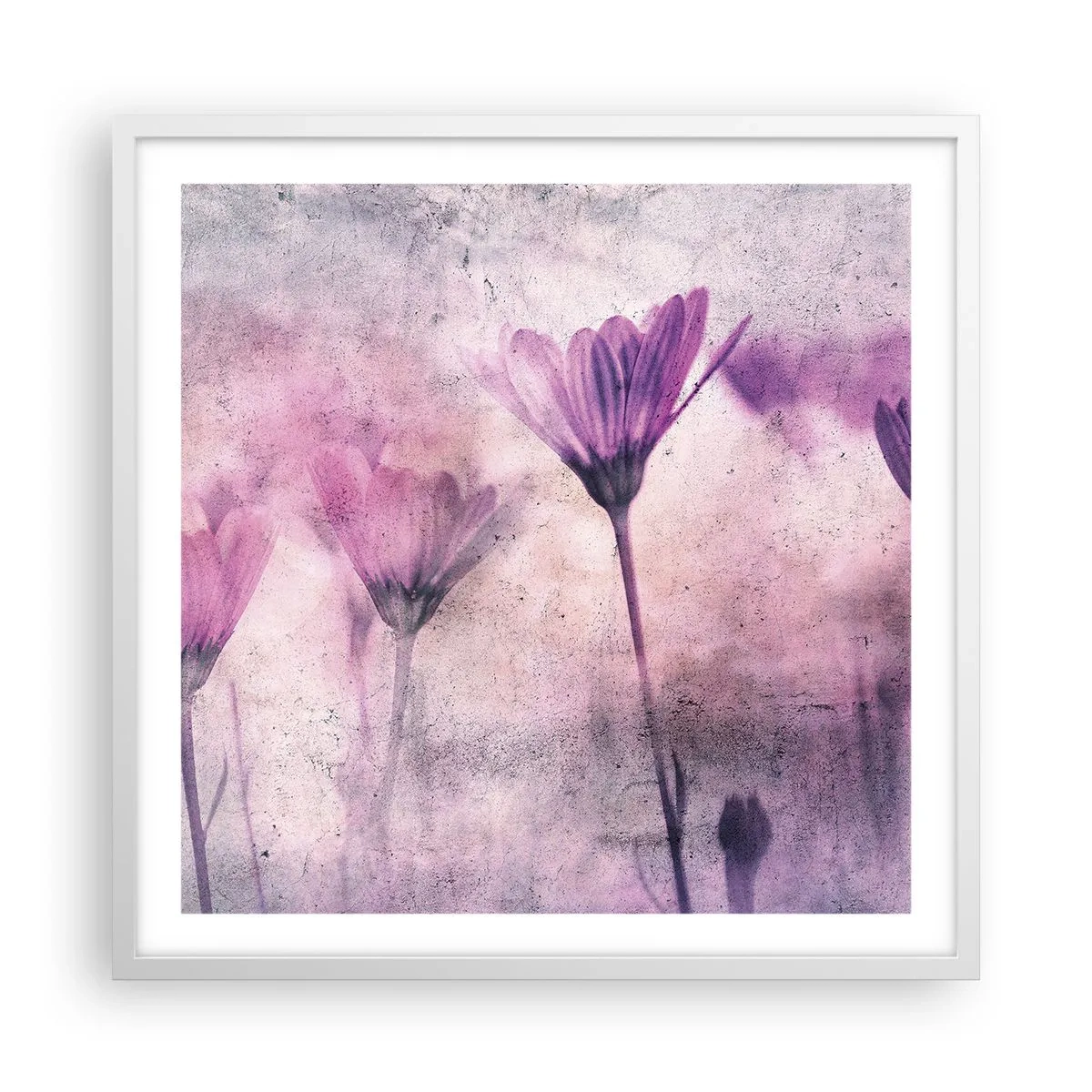 Poster in white frmae - Dream of Flowers - 60x60 cm