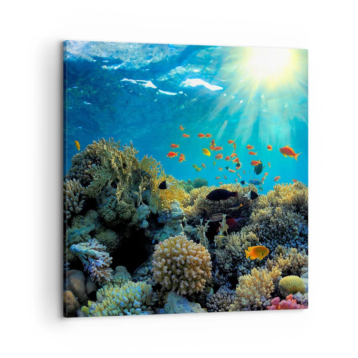 Canvas picture - Underwater Treasures - 50x50 cm