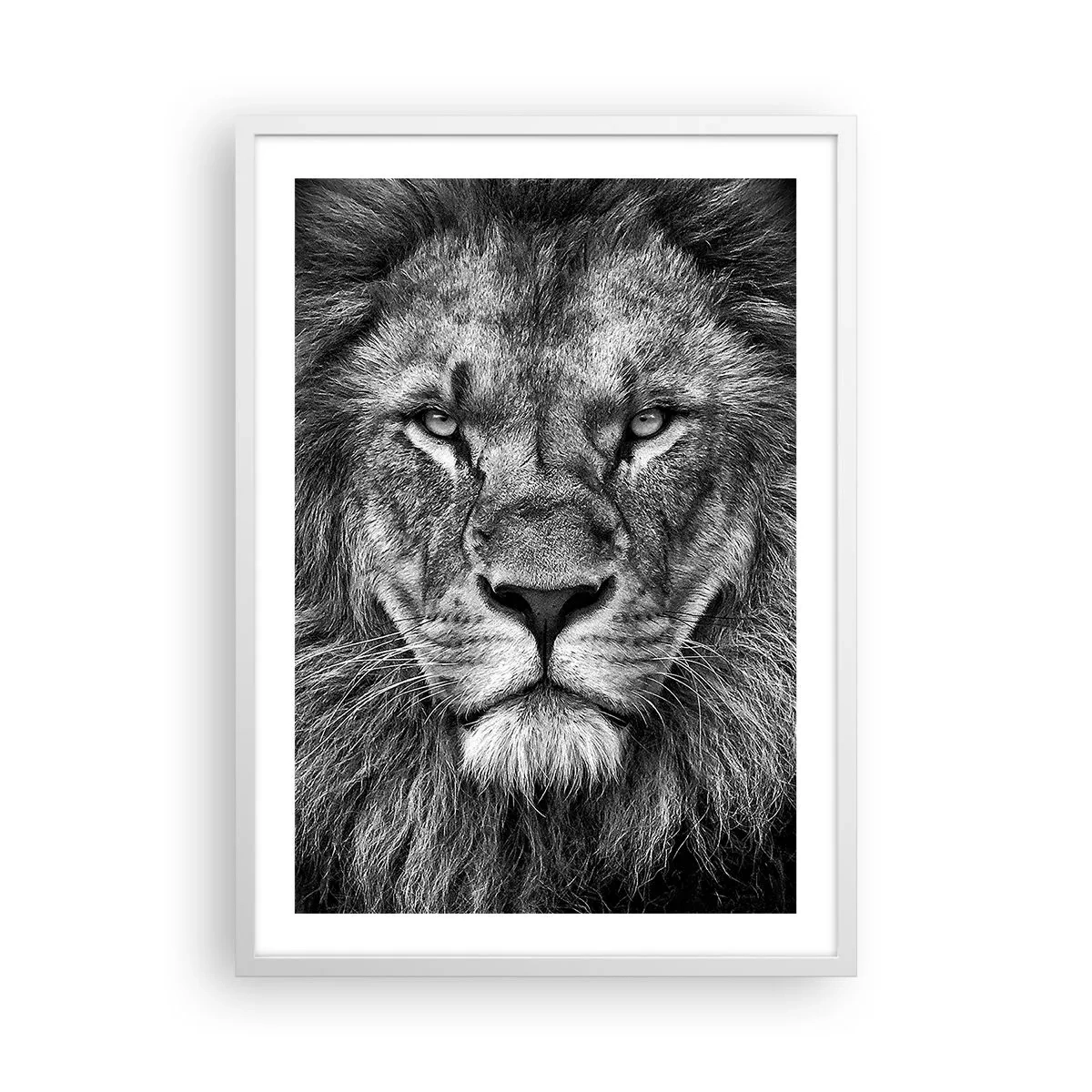 Poster in white frmae - In Coronation Clothes - 50x70 cm