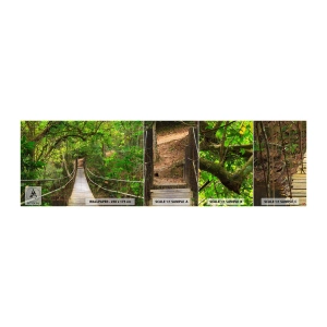 Photo Wallpaper Sample Self-Adhesive Deluxe Sticker - There Is Ivy Growing in the Garden - Landscape, Forest, Nature - 100x30 cm