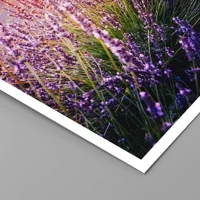 Unframed