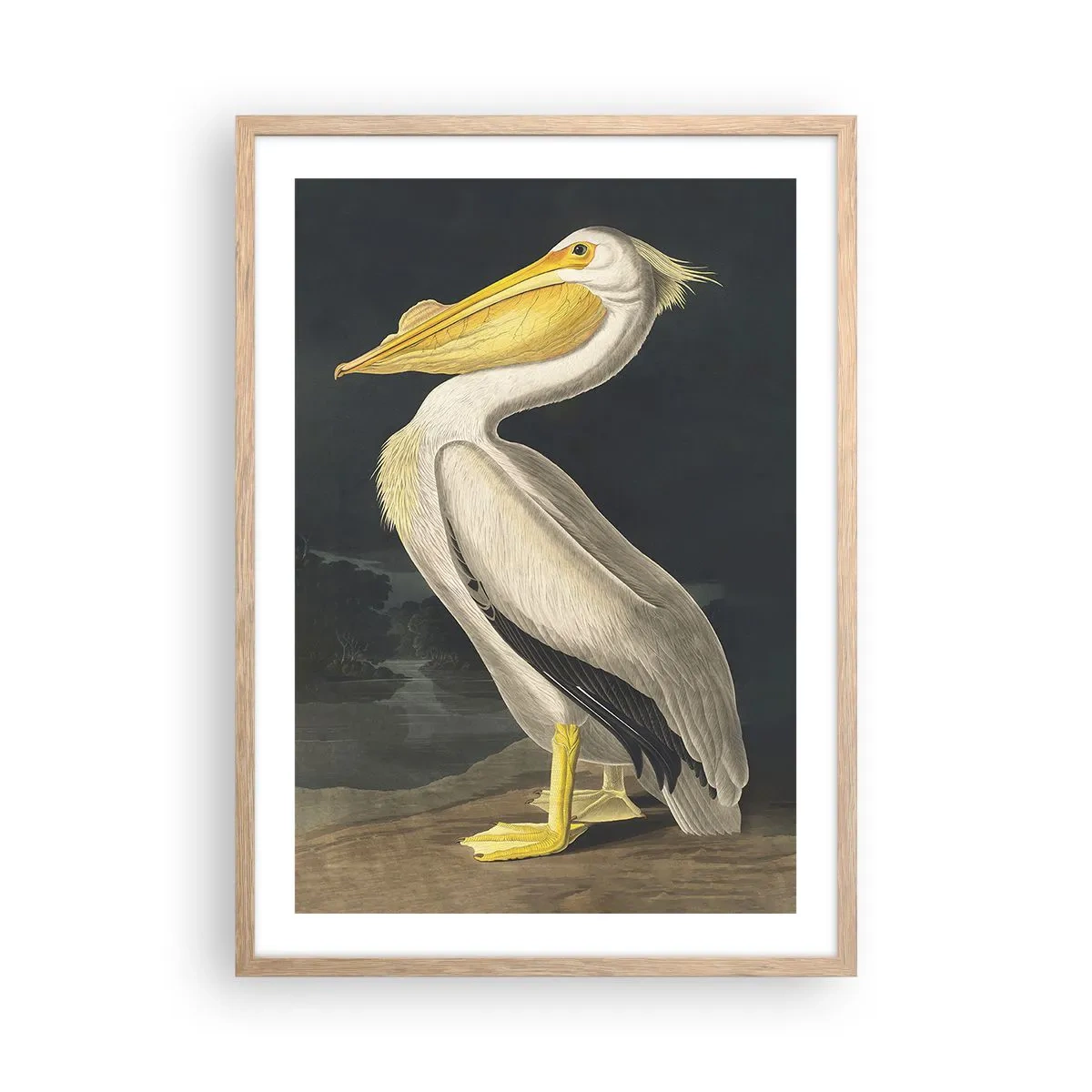 Poster in light oak frame - Full of Pride - 50x70 cm