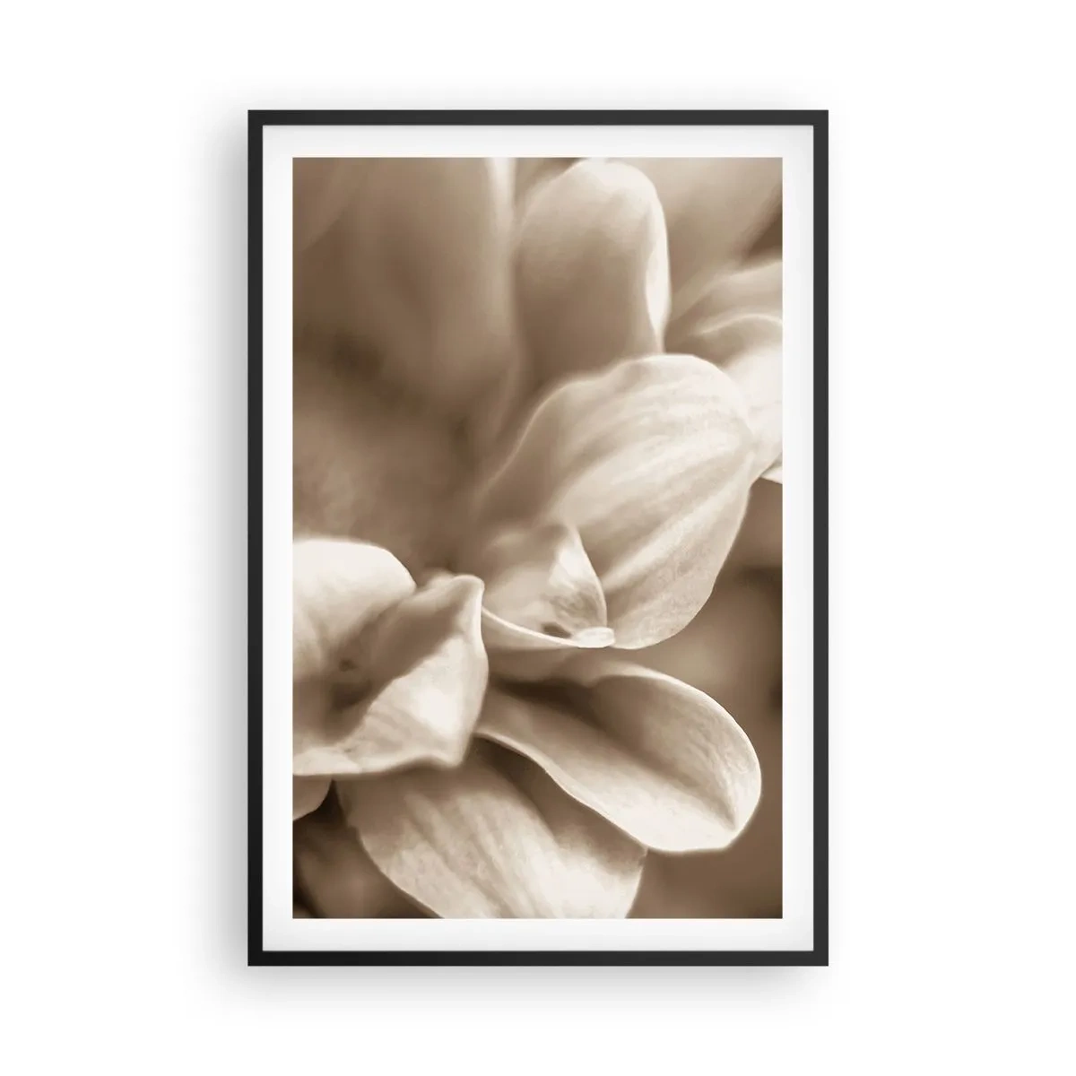 Poster in black frame - Soft as a Smile - 61x91 cm