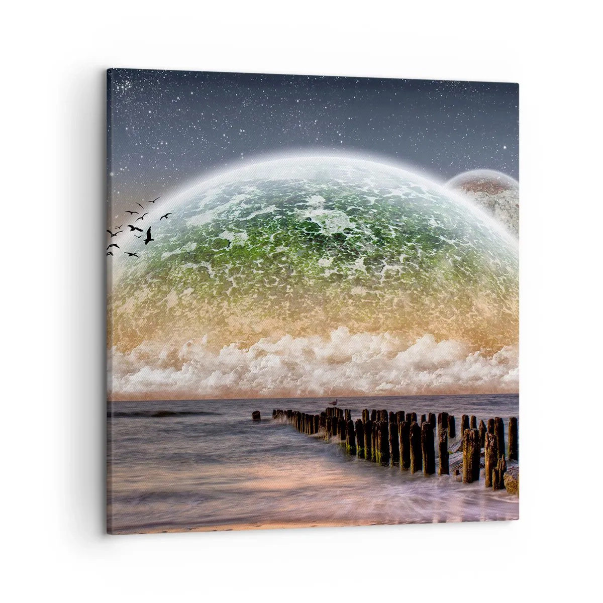 Canvas picture - And the World Has Emerged from Water - 50x50 cm