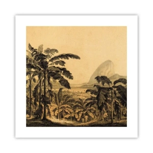 Poster - In Colonial Character - 40x40 cm