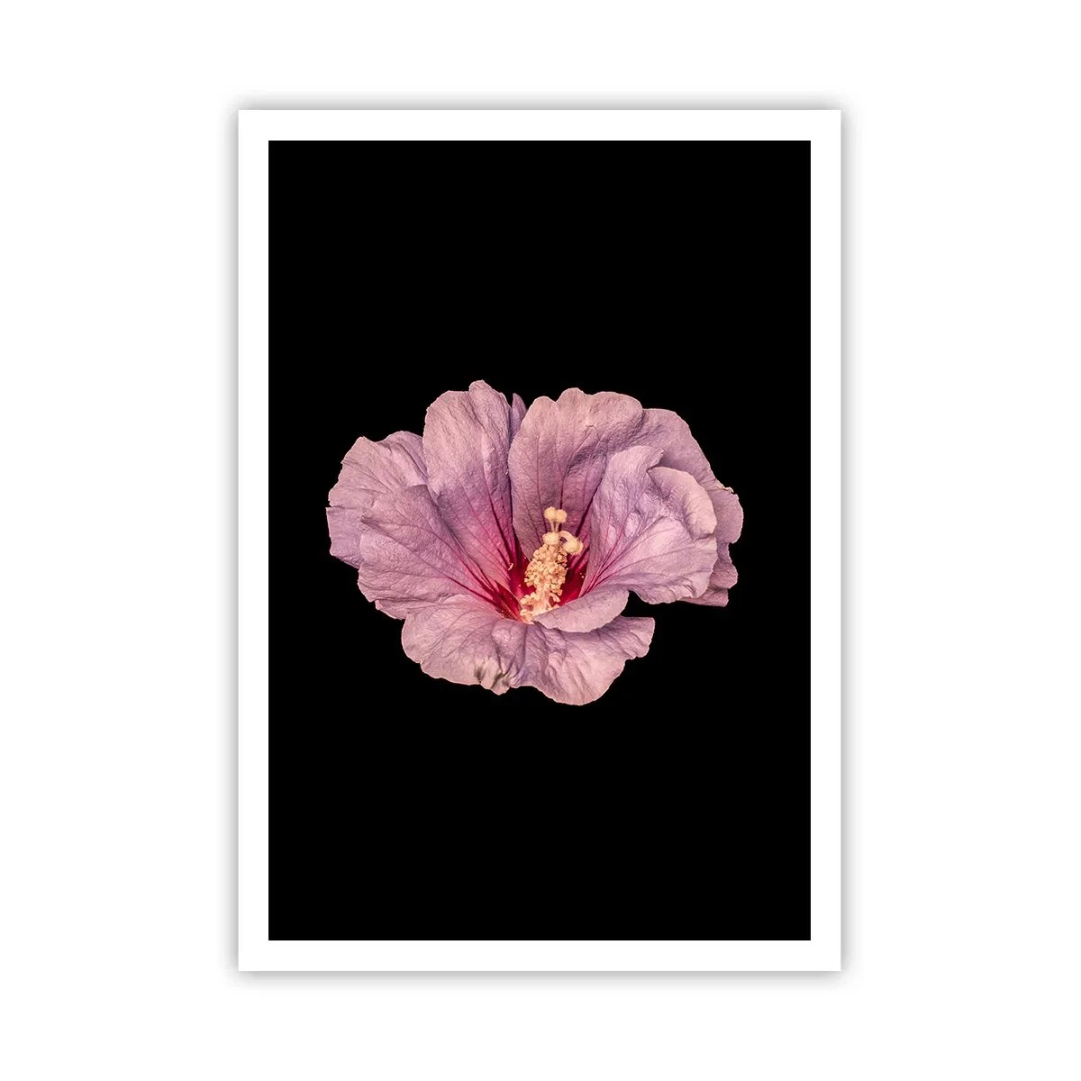 Poster - Straight from the Heart - 70x100 cm