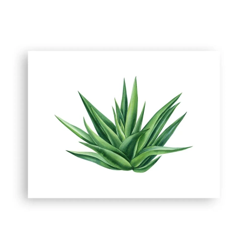Poster - Green - Power - Life - 40x30 cm