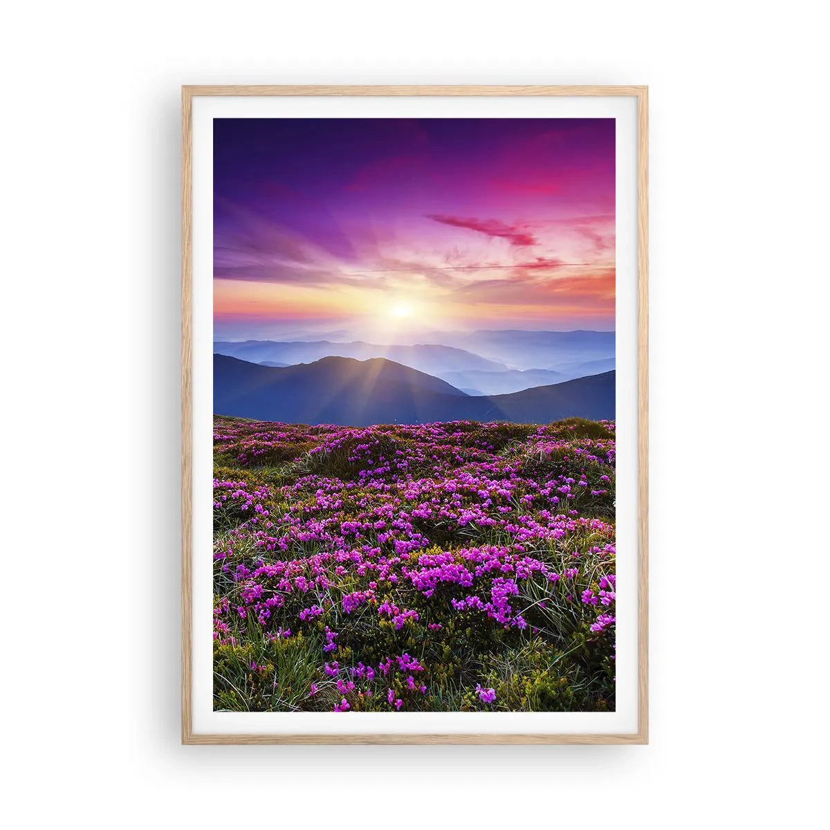 Poster in light oak frame - Smells Strongly of Herbs - 70x100 cm