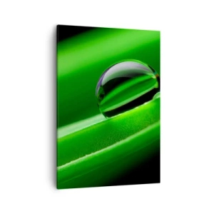 Canvas picture - Life from a Close-Up - 50x70 cm