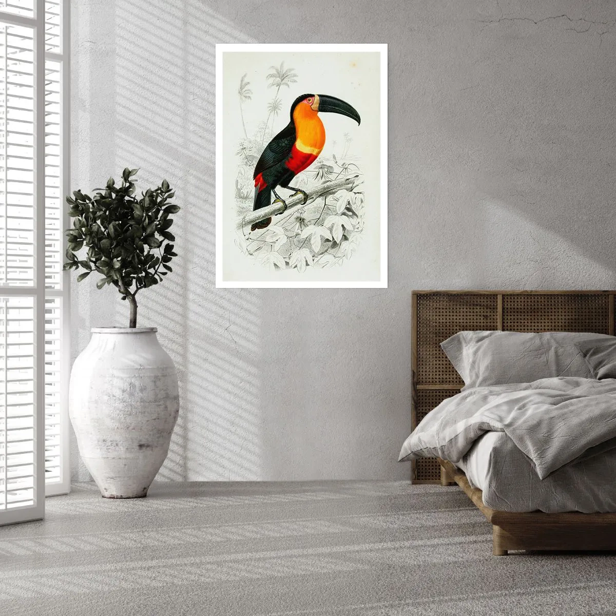Poster - Bird Colours - 40x50 cm