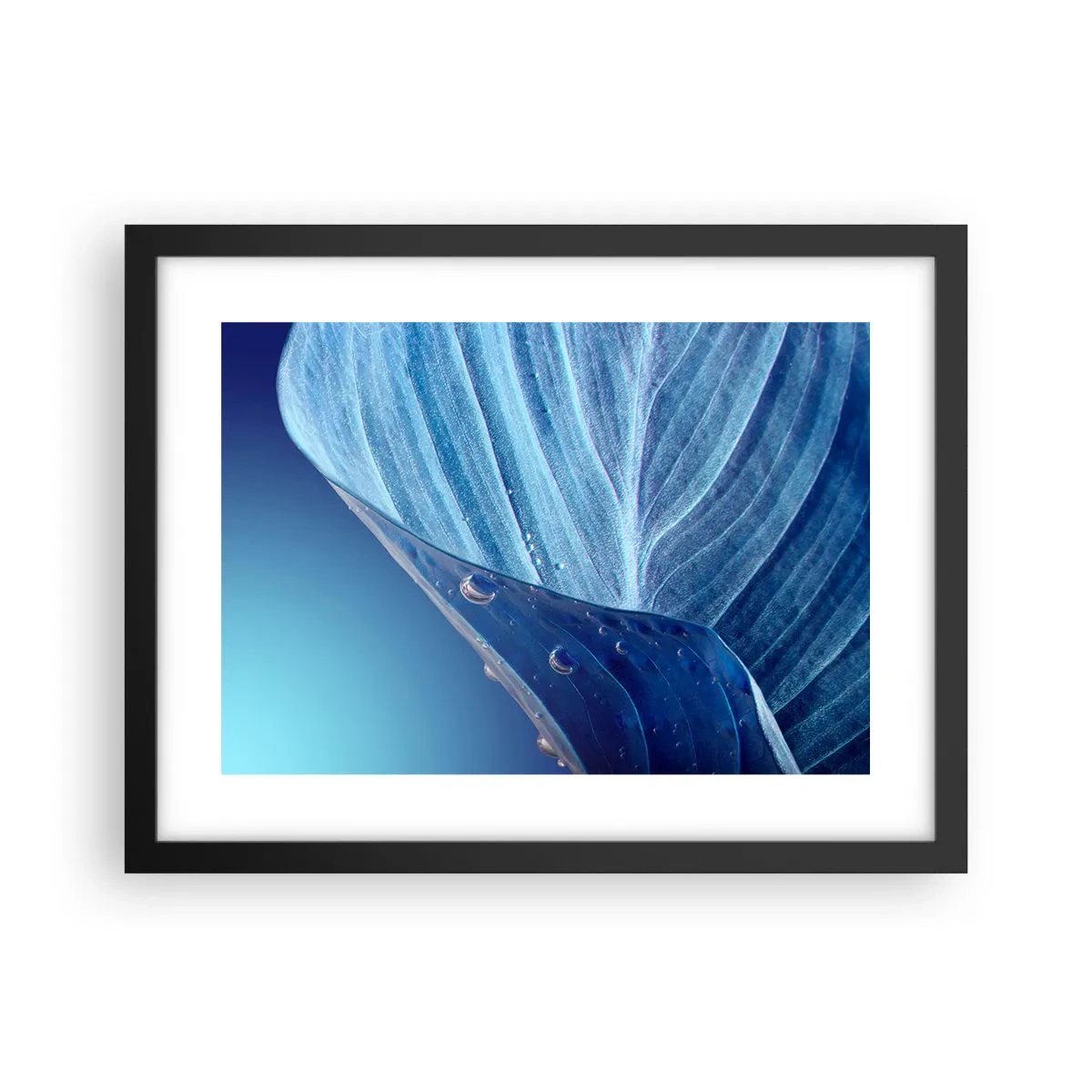 Poster in black frame - Hidden Drops of Blue - 40x30 cm