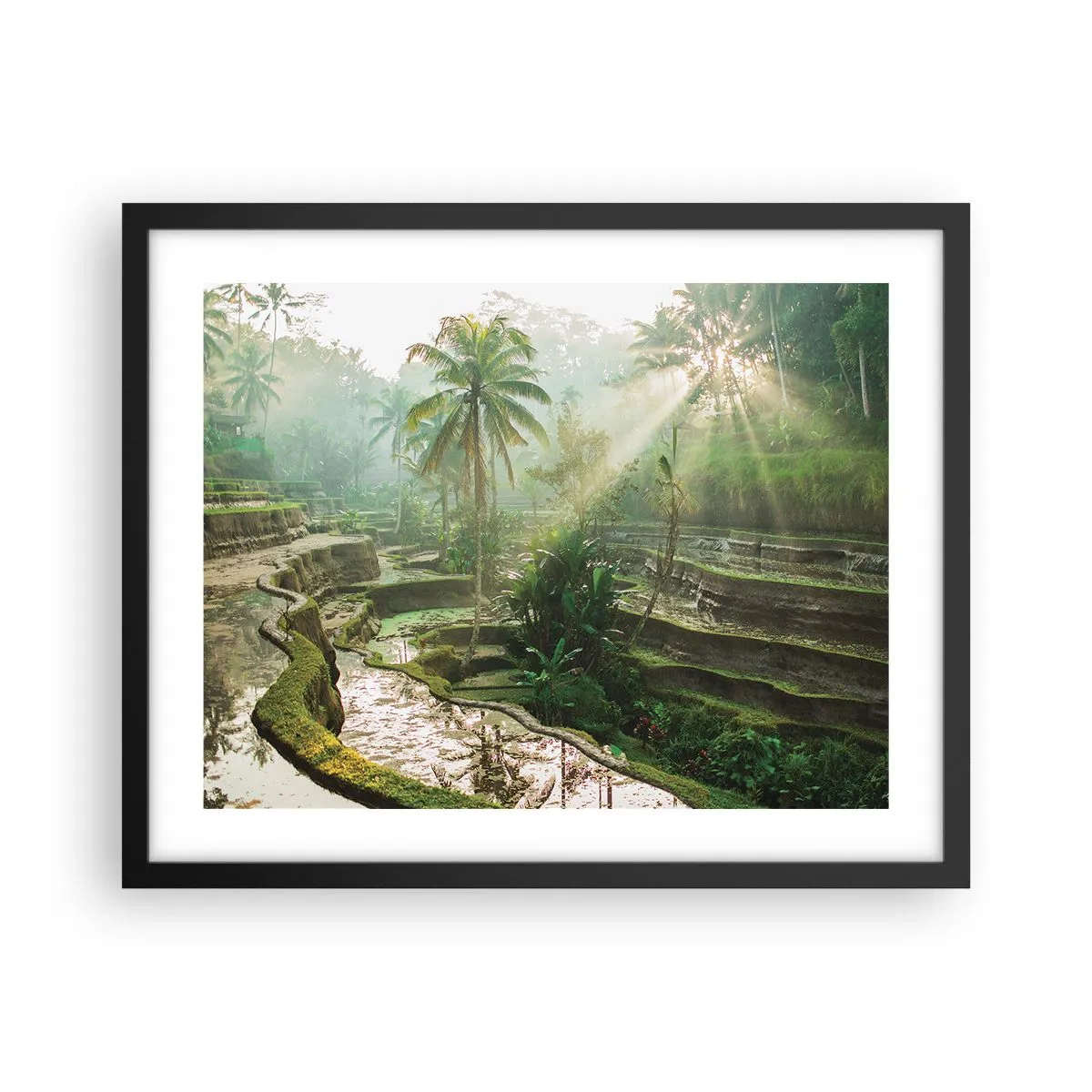 Poster in black frame - Maturing in the Sun - 50x40 cm