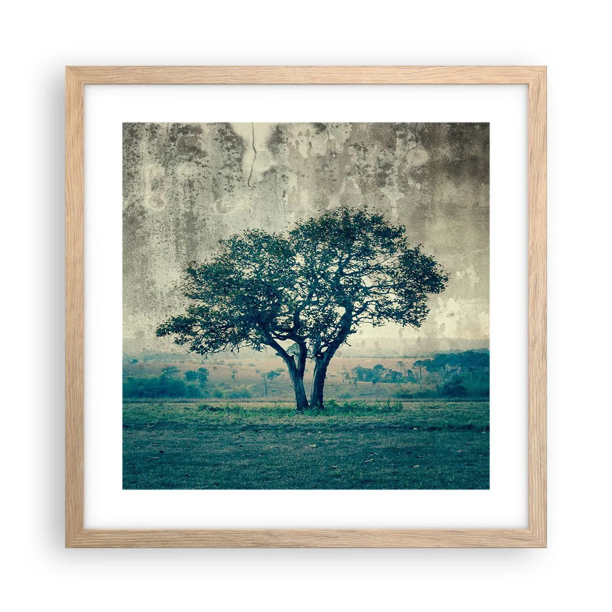 Poster in light oak frame - Apple Tree in Blue? - 40x40 cm
