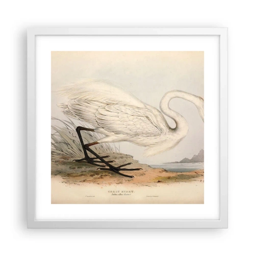 Poster in white frmae - Lady on the Marsh - 40x40 cm