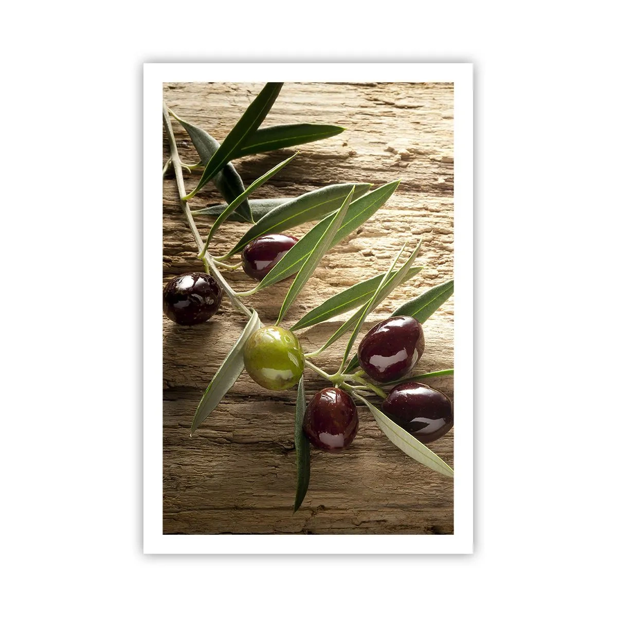 Poster - Straight from Nature - 61x91 cm