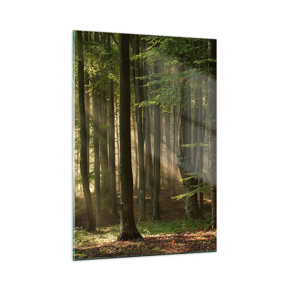 Glass picture - Beaming in Spring Morning - 50x70 cm
