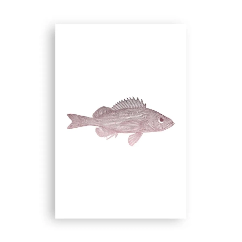 Poster - Big-eyed Fish - 61x91 cm