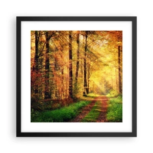 Poster in black frame - Forest Golden silence - 40x40 cm