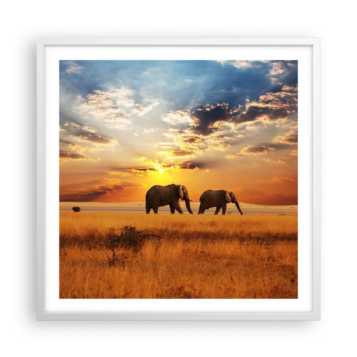 Poster in white frmae - Family Walk - 60x60 cm