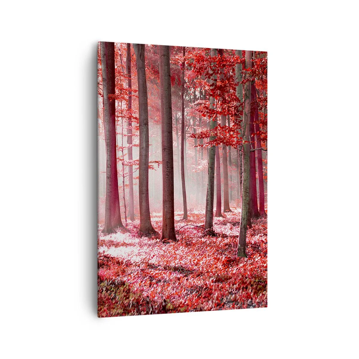 Canvas picture - Red Equally Beautiful - 70x100 cm