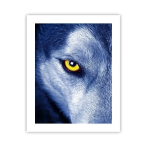Poster - Mesmerising Look - 40x50 cm