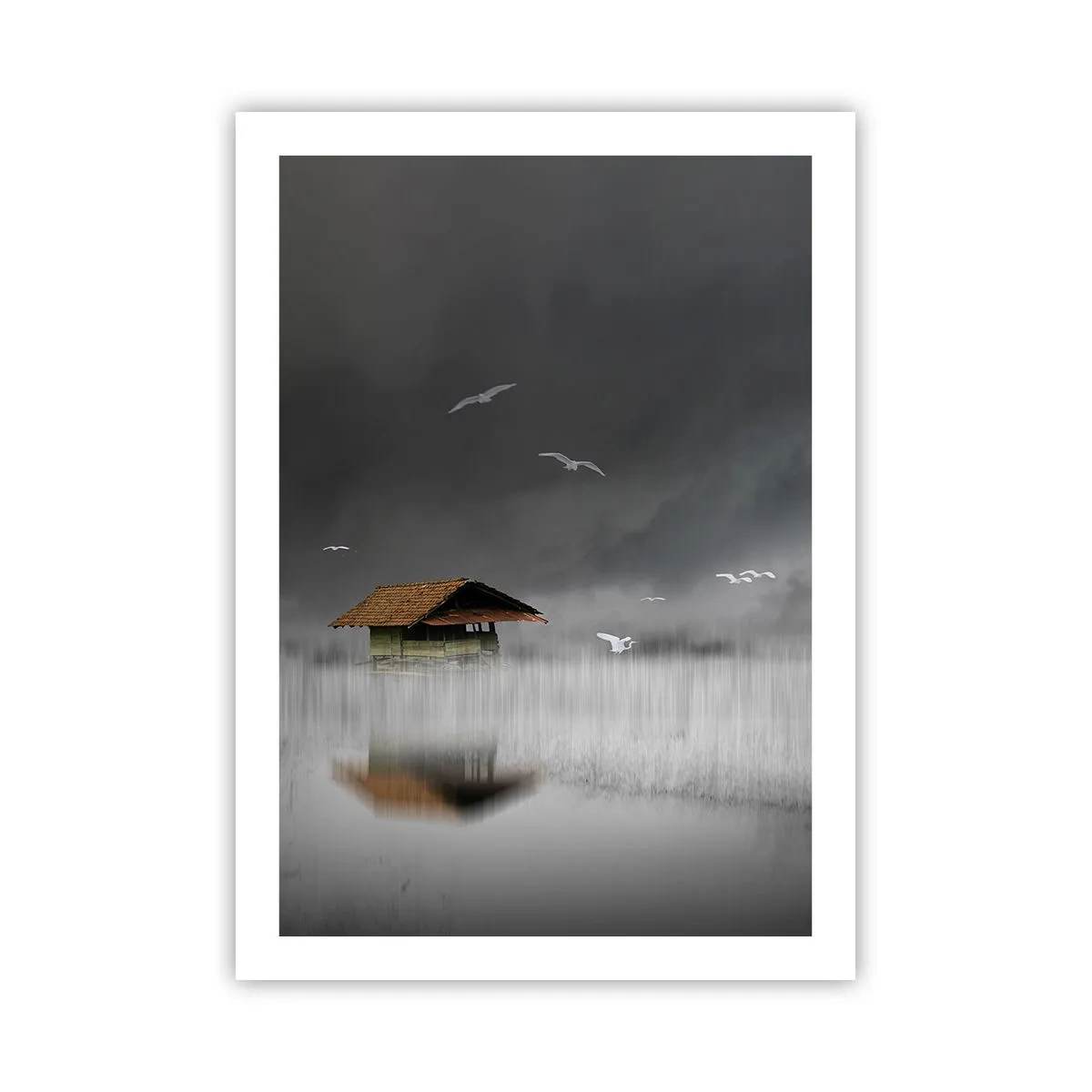 Poster - Shelter from the Rain - 50x70 cm