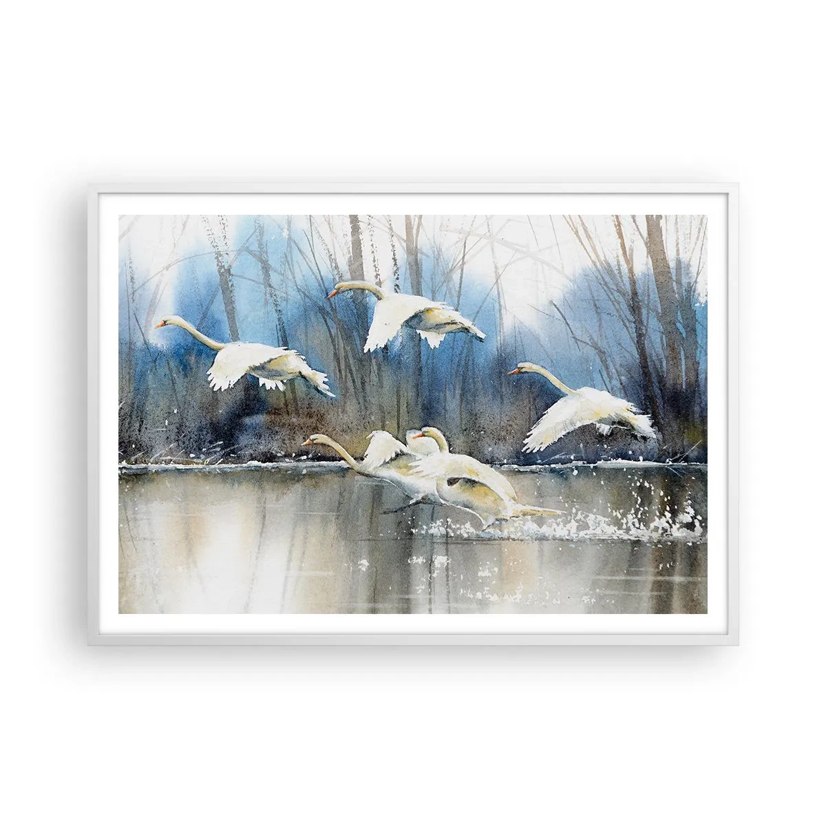 Poster in white frmae - Like in a Fairy Tale about Wild Swans - 100x70 cm
