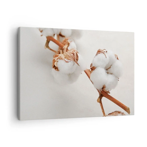Canvas picture - A sprig of cotton on a subtle background - 70x50cm - Just Cuddle It - Modern wall decoration for the living room and bedroom ARTTOR