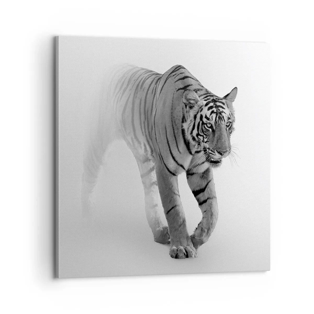 Canvas picture - Crouching in Fog - 60x60 cm