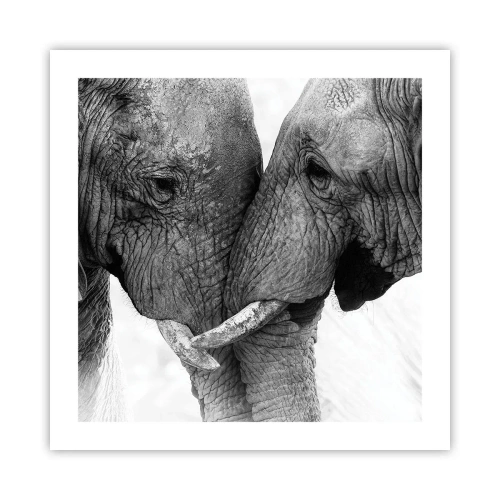 Poster - Hearty Confession - 50x50 cm