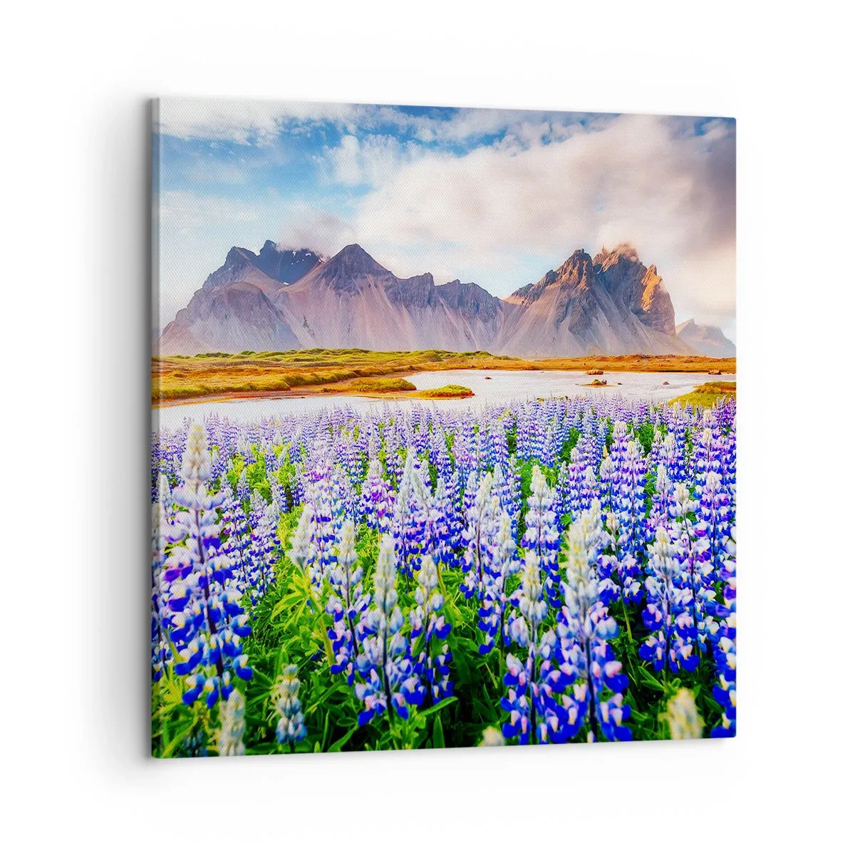 Canvas picture - Strength and Severity next to Sweetness - 60x60 cm