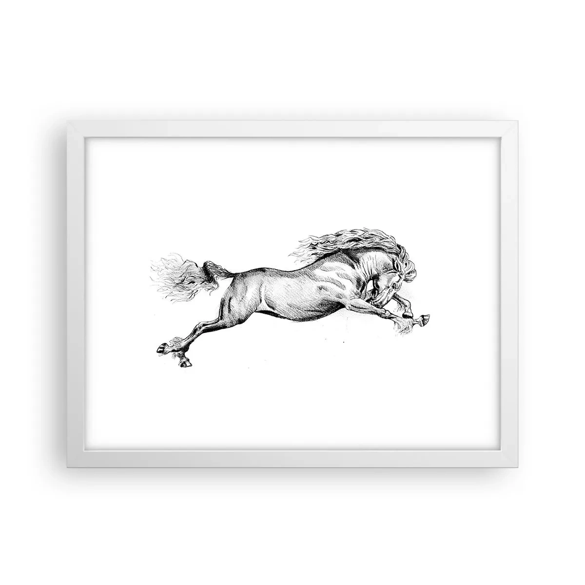 Poster in white frmae - Stopped at a Gallop - 40x30 cm