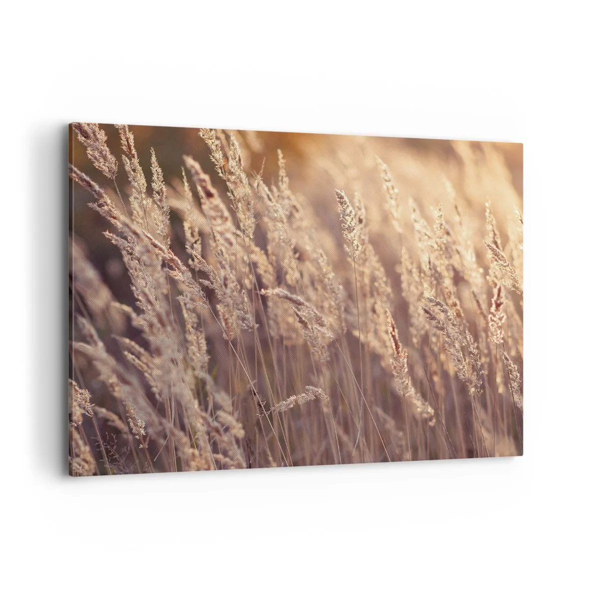 Canvas picture - Ready to Welcome Autumn - 120x80 cm