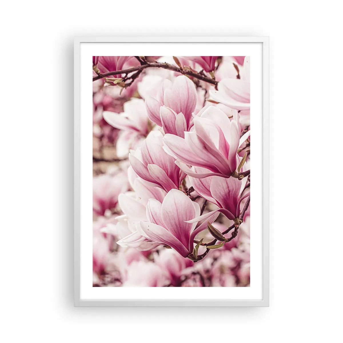 Poster in white frmae - Spring is Pink - 50x70 cm