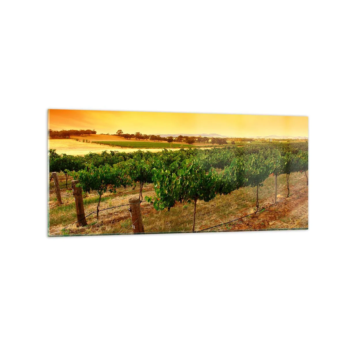 Glass picture - Drink up the Sun - 120x50 cm