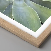 Light Oak