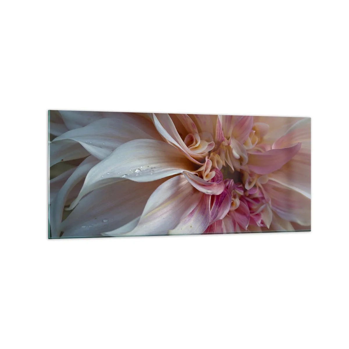 Glass picture - Blooming Freshness - 120x50 cm