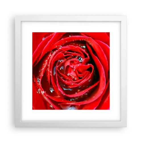 Poster in white frmae - In Dew Drops - 30x30 cm