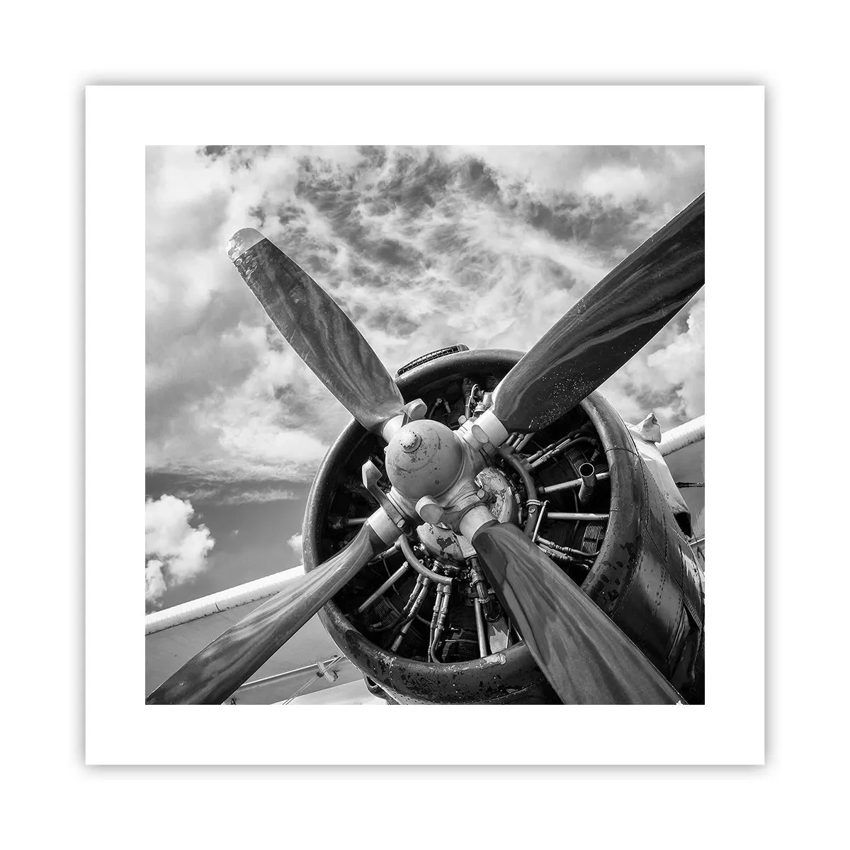 Poster - Conquerer of the Skies - 40x40 cm